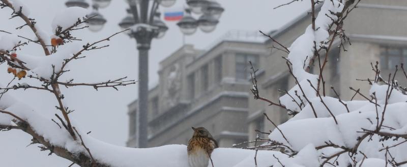 Фото: Коммуниционное агенство Медиа консалт