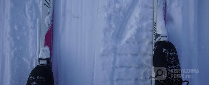 Фото: коммуникационное агентство Медиа консалт