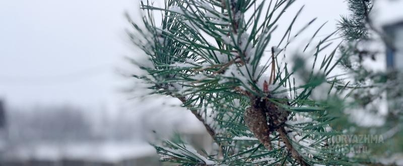 Фото: коммуникационное агентство Медиа консалт