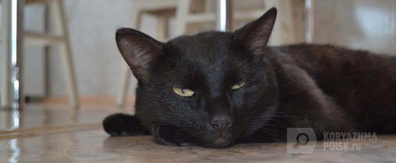 Фото: Коммуникационное агентство Медиа консалт