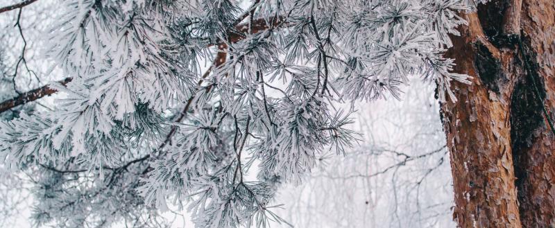 Фото: Коммуникационное агентство Медиа консалт