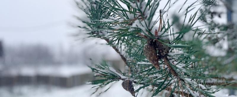 Фото: коммуникационное агентство Медиа консалт