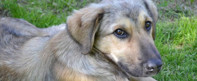 Фото: коммуникационное агентство Медиа консалт