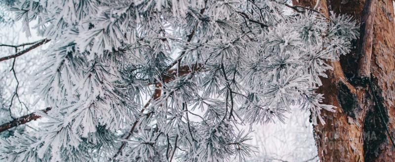 Фото: коммуникационное агентство Медиа консалт