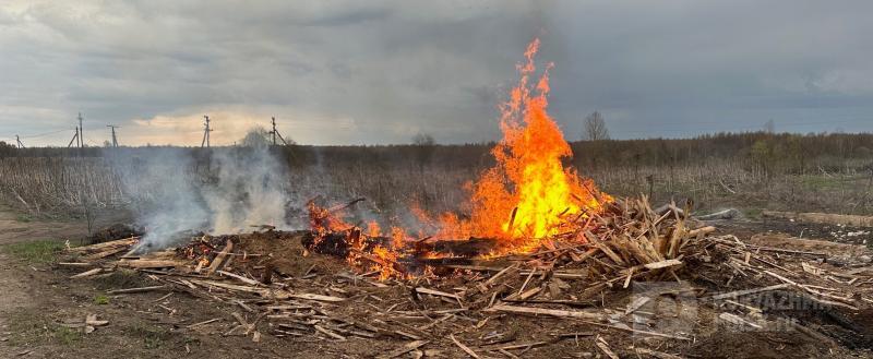 Фото: коммуникационное агентство Медиа консалт