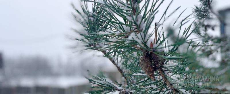 Фото: Коммуникационное агентство Медиа консалт