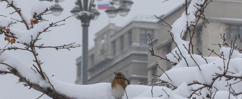 Фото: Коммуникационное агентство Медиа консалт