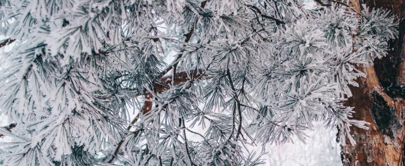 Фото: Коммуникационное агентство Медиа консалт