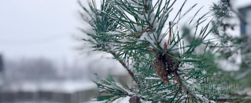 Фото: коммуникационное агентство Медиа консалт