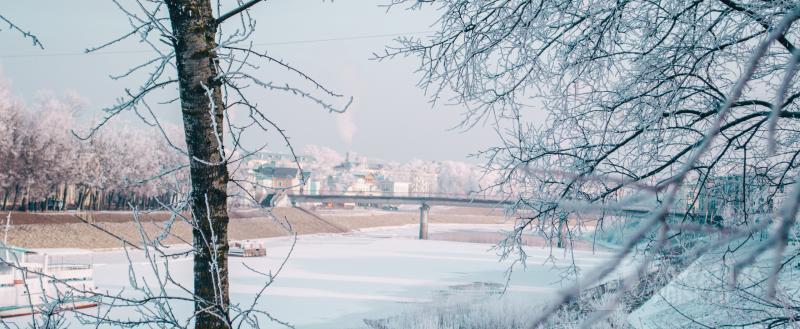 Фото: Коммуникационное агентство Медиа консалт