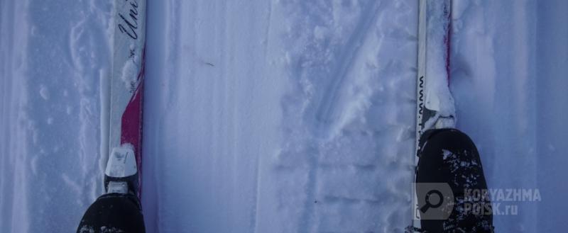 Фото: коммуникационное агентство Медиа консалт