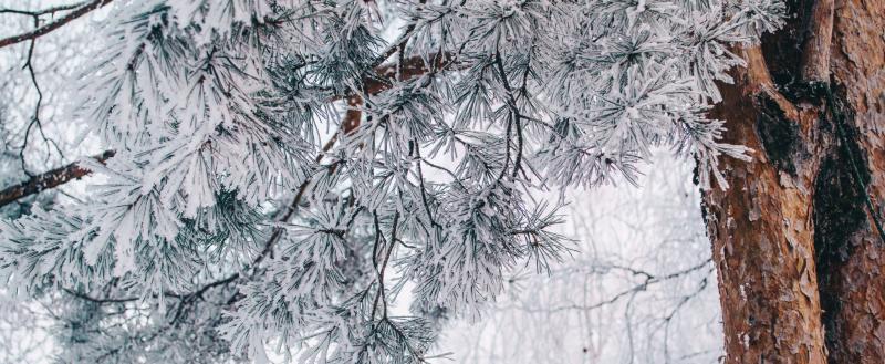 Фото: Коммуникационное агентство Медиа консалт