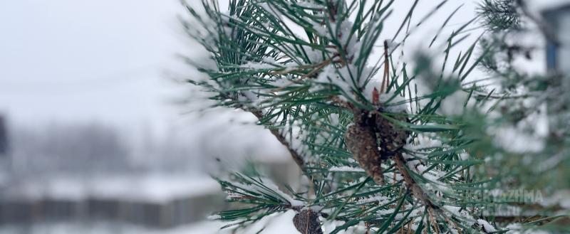 Фото: Коммуникационное агентство Медиа консалт