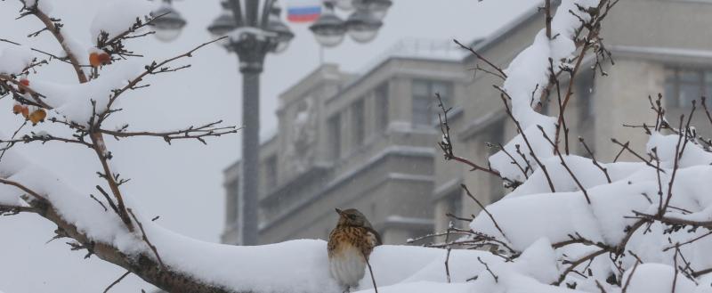 Фото: Коммуникационное агентство Медиа консалт