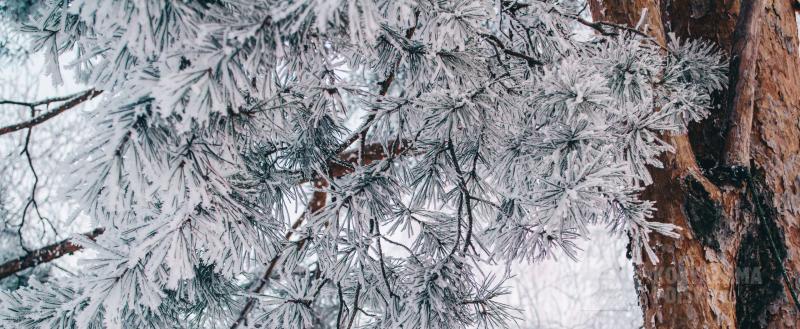 Фото: коммуникационное агентство Медиа консалт