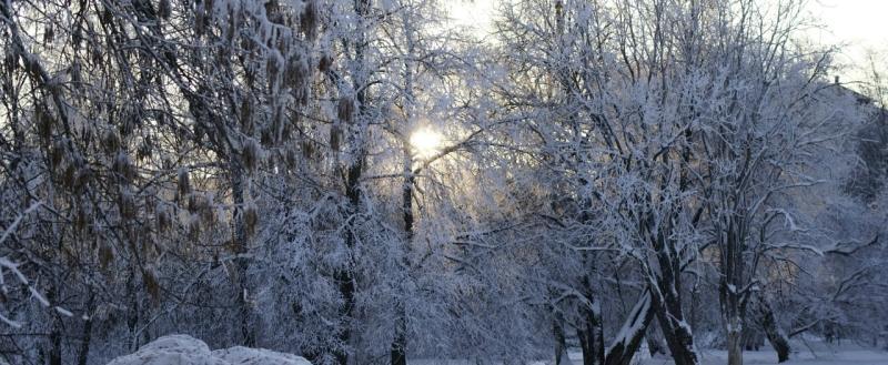 Фото: Коммуникационное агентство Медиа консалт