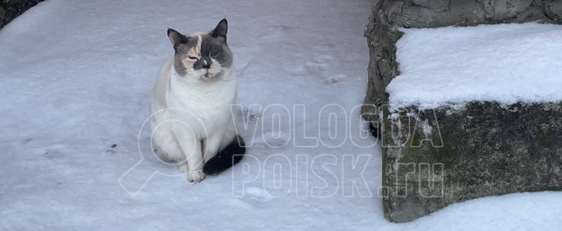 Фото: Коммуникационное агентство Медиа консалт