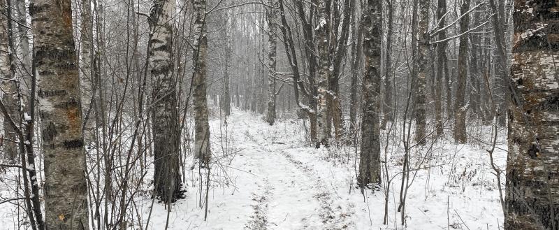 Фото: Коммуникационное агентство Медиа консалт