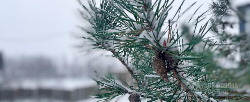 Фото: Коммуникационное агентство Медиа консалт