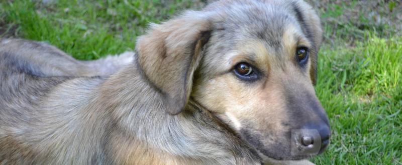 Фото: Коммуникационное агентство Медиа консалт