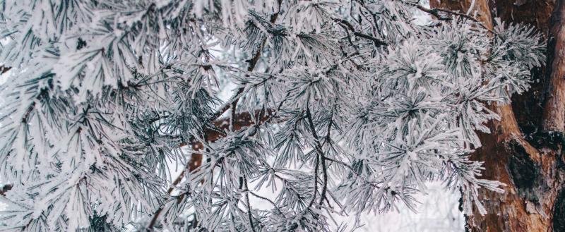 Фото: Коммуникационное агентство Медиа консалт