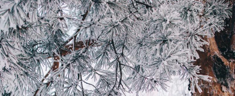 Фото: коммуникационное агентство Медиа консалт