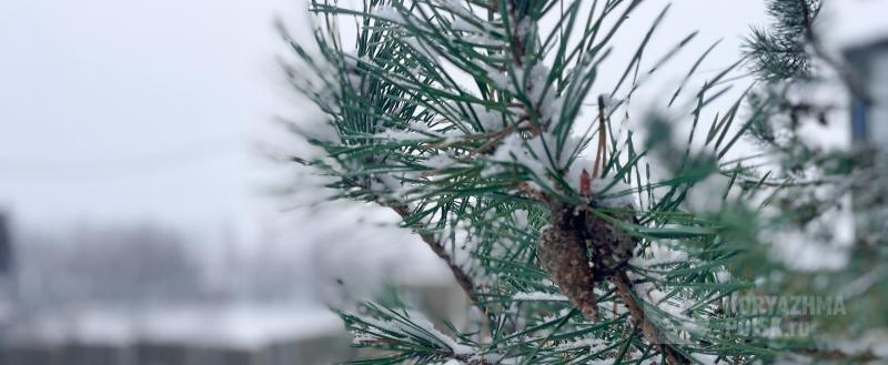 Фото: Коммуникационное агентство Медиа консалт