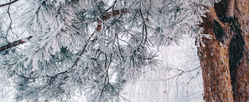 Фото: Коммуникационное агентство Медиа консалт
