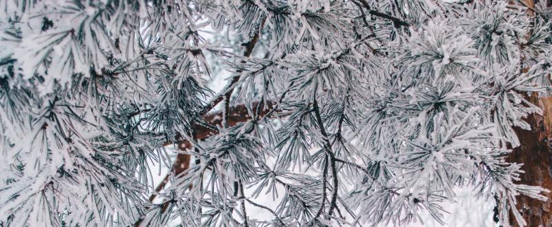 Фото: коммуникационное агентство Медиа консалт