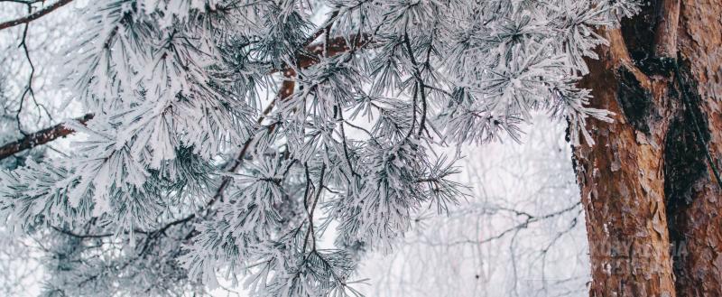 Фото: Коммуникационное агентство Медиа консалт