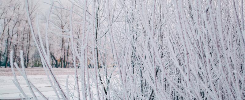 Фото: Коммуникационное агентство Медиа консалт