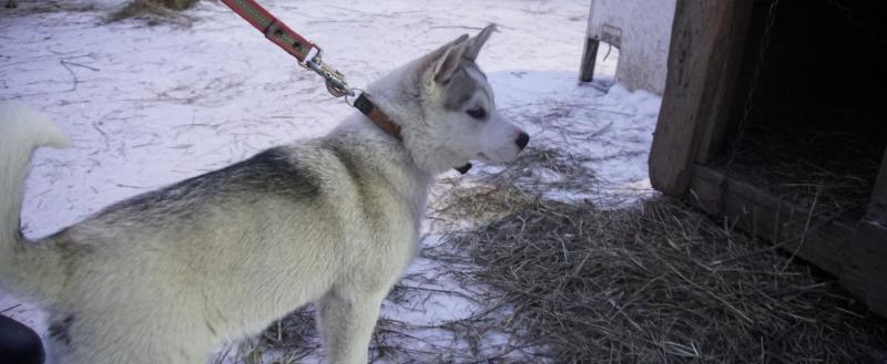 Фото: Коммуникационное агентство Медиа консалт