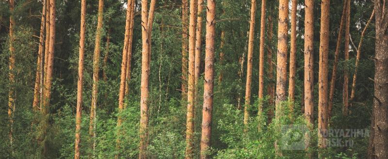 Фото: Коммуникационное агентство Медиа консалт