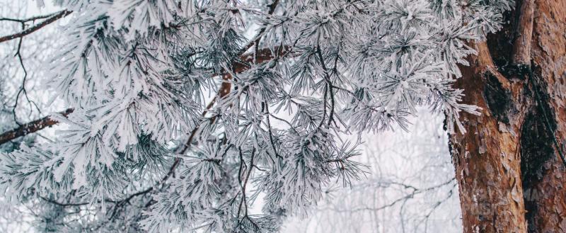 Фото: Коммуникационное агентство Медиа консалт