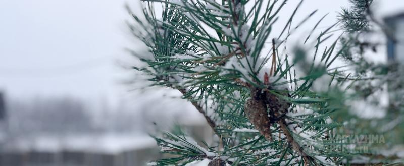 Фото: коммуникационное агентство Медиа консалт