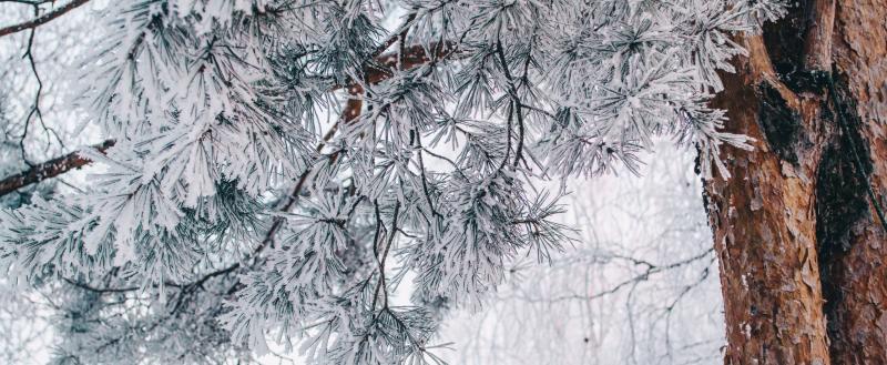 В Москве подорожали портативные Wi-Fi роутеры с VPN