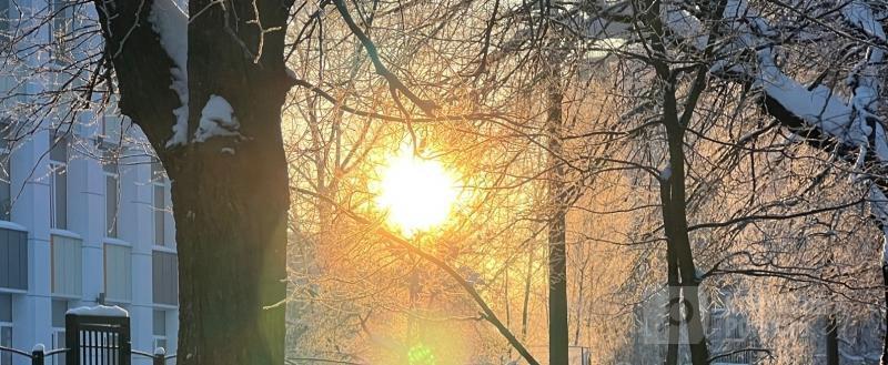 Фото: Коммуникационное агентство Медиа консалт