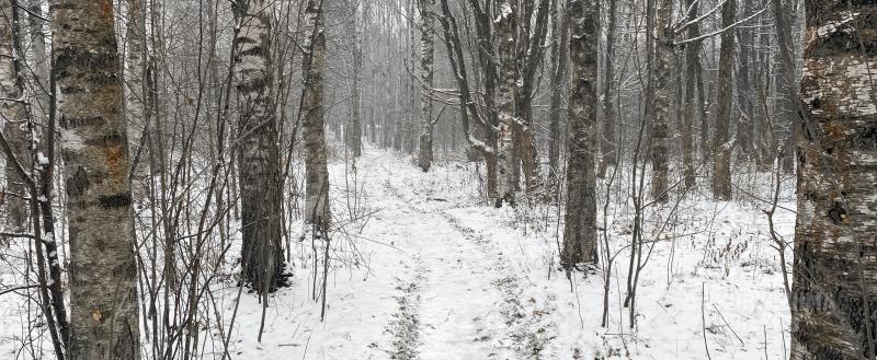 Фото: Коммуникационное агентство Медиа консалт