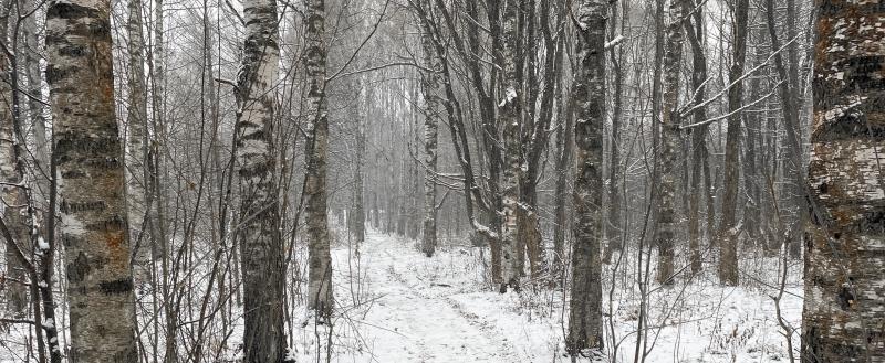 Фото: Коммуникационное агентство Медиа консалт