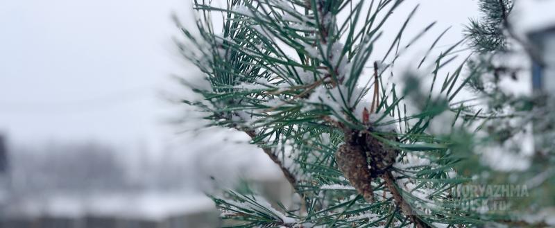 Фото: Коммуникационное агентство Медиа консалт