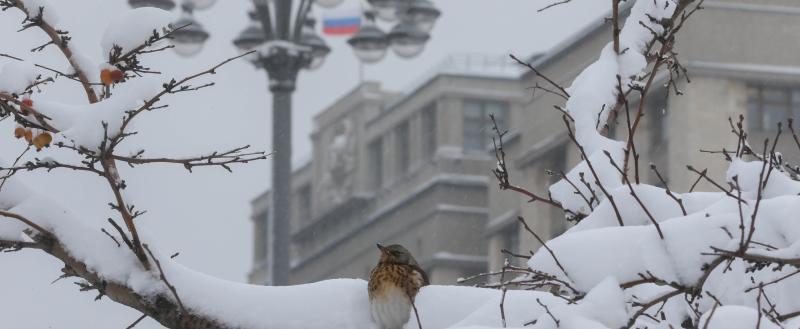 Фото: Коммуникационное агентство Медиа консалт