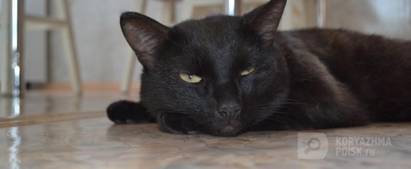 Фото: Коммуникационное агентство Медиа консалт