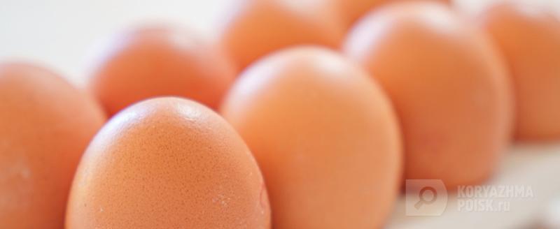 Фото: Коммуникационное агентство Медиа консалт