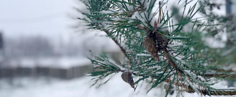 Фото: Коммуникационное агентство Медиа консалт