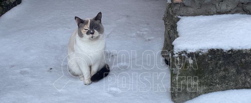 Фото: Коммуникационное агентство Медиа консалт