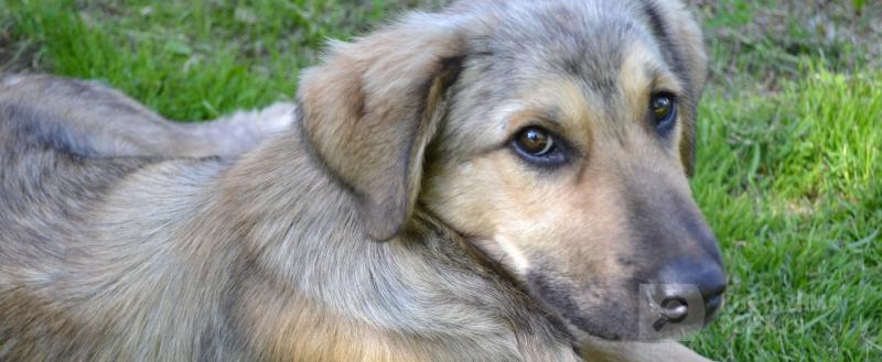 Фото: Коммуникационное агентство Медиа консалт