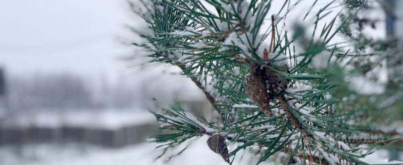 Фото: коммуникационное агентство Медиа консалт