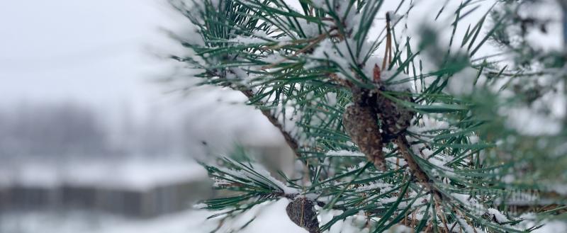 Фото: Коммуникационное агентство Медиа консалт