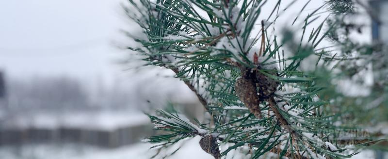 Фото: Коммуникационное агентство Медиа консалт