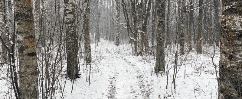 Фото: Коммуникационное агентство Медиа консалт
